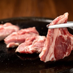 【カウンター席】ふんわりとした灯りに包まれた大人の空間で、ヘルシーで旨味たっぷりのラム肉を堪能。煙も控えめに、匂いも気にならず、女性同士やカップルにも嬉しいスタイルのジンギスカンです。