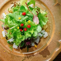 アオリイカとグレープフルーツのタルタル　サラダ仕立て