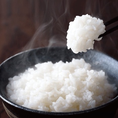 岩船産のコシヒカリご飯
