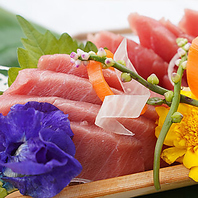 三崎漁港直送の新鮮な魚と彩り豊かな地元の鎌倉野菜