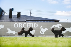 ORCHID オーキッド Cafe & Dogrun特集写真1