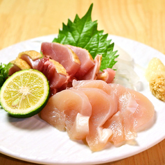 ~薩摩~朝引き薩摩鶏刺し