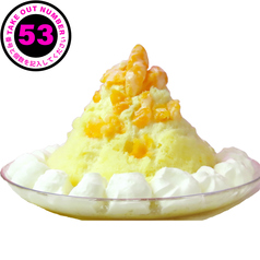 53 Orange Tokyo Pince オレンジピンス