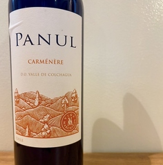 ビーニャ・マルチグエ パヌール カルメネール