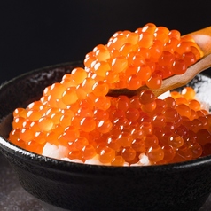 【北海道を贅沢に味わう楽しみ】これぞ北海道、いくら丼をご堪能下さいの写真