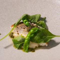 ALL BLUE Lunch　Set