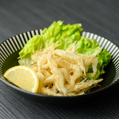 居酒屋 たかまさのおすすめ料理2