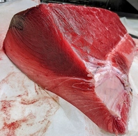 生本鮪