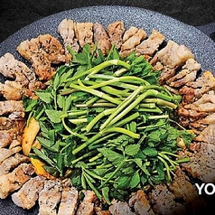 yori ヨリの特集写真