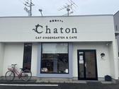 保護猫カフェ CHATONの詳細
