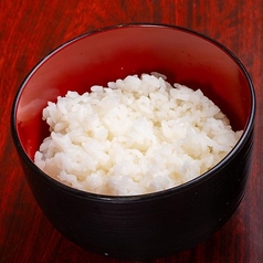 ご飯のみ 並