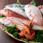 日本各地の地魚や築地海鮮をご賞味ください。【海鮮・炙り・飲み放題・産地直送】