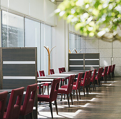 MARUGO D マルゴディーの特集写真