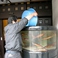 活イカ踊りの拘り２はこだての活イカ専用水槽で新鮮な状態を維持