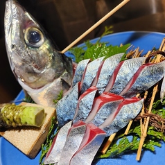 黄金の生サバ姿造里　※造里の姿/骨焼きは致しません