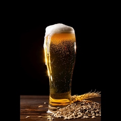 焼肉 ホルモン 肉料理 陽気 烏丸のコース写真