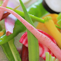 料理メニュー写真 彩り有機野菜のバーニャカウダ