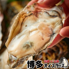 天神商店 博多オイスターズ 天神店特集写真1