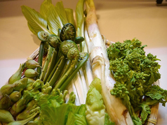 山菜３点盛り天ぷら　650円の写真