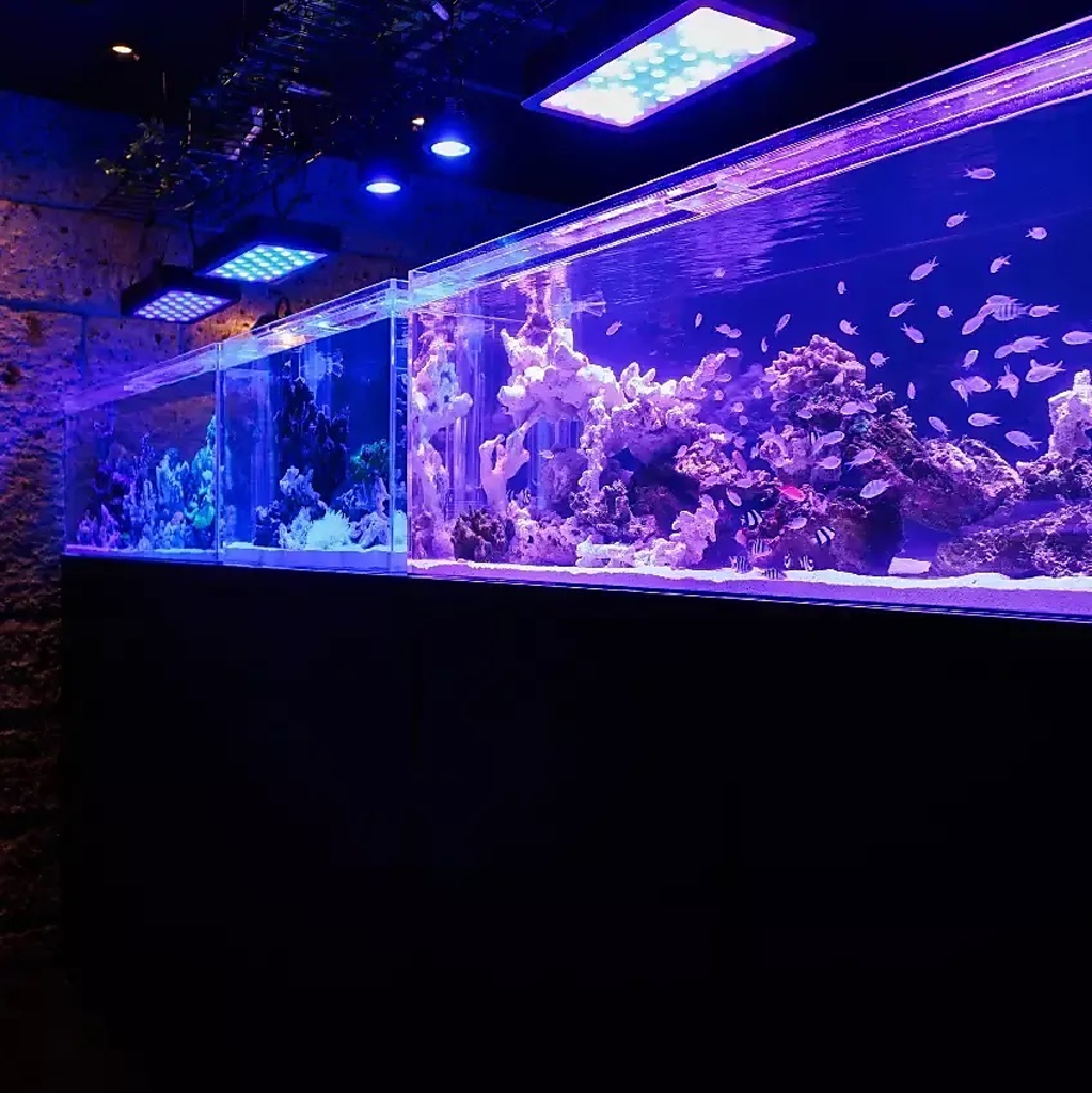 蒼いアクアリウムが象徴的な大人を魅了するラグジュアリーな非日常空間！記念日にぜひご利用ください