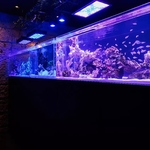 蒼いアクアリウムが象徴的な大人を魅了するラグジュアリーな非日常空間！記念日にぜひご利用ください