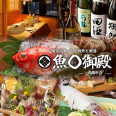 魚○御殿 南越谷店の詳細