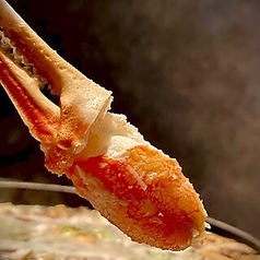 とり料理 鳥者 恵比寿のコース写真