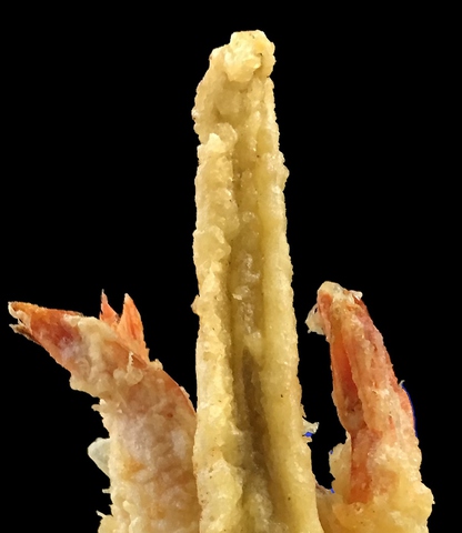 割烹 橋立 和食 のメニュー ホットペッパーグルメ