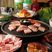焼肉加羅 マッコリプリンス1号店のおすすめ料理3