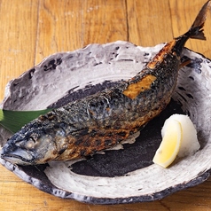 特大さば