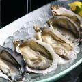恵比寿 メデューサ MEDUSAのおすすめ料理1