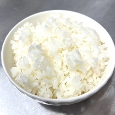 ライス(中)