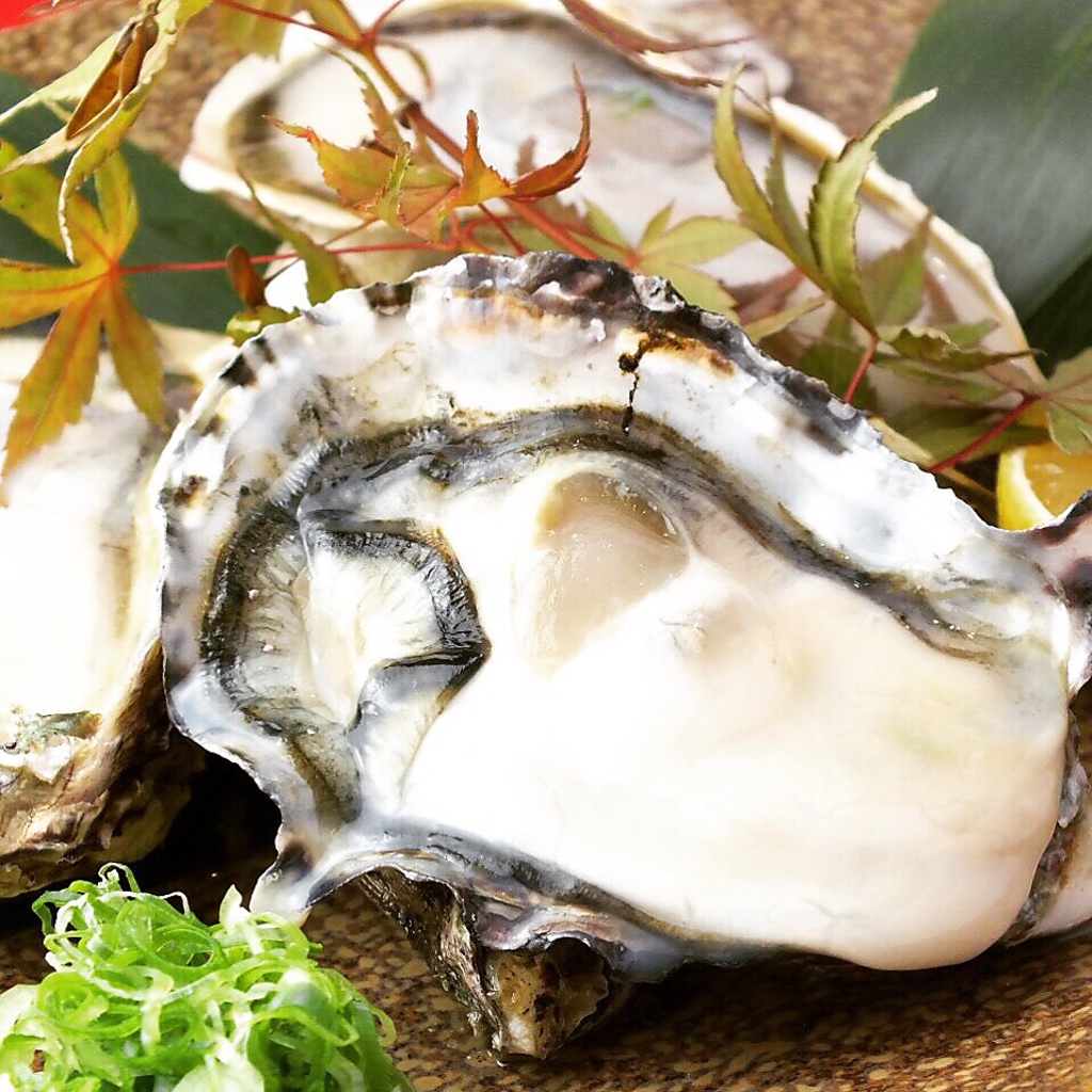 旬の食材を使用した和食が人気