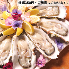 totochee トトチー 新松戸店の写真