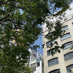 【半個室あり】カフェ&シーシャ Polysection 渋谷 道玄坂の外観2