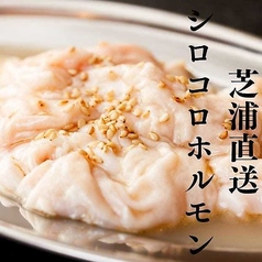 豚シロコロホルモン