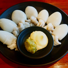 プチ紋甲イカ