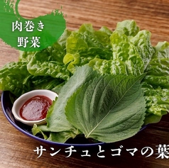 サンチュとごまの葉