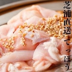 豚てっぽう