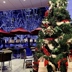 アマルフィイ カフェ みなとみらい店のコース写真