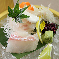 真鯛お造り/はまちお造り 各