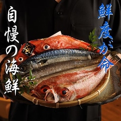 旬な食材を厳選。豊富な創作料理を堪能。