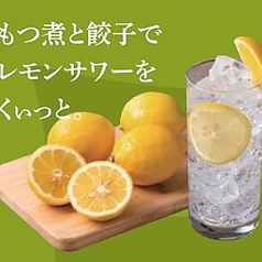 レモンサワー/無糖レモンサワー