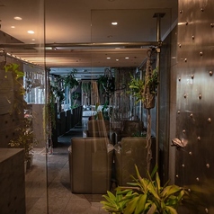 TRIBE Top Terrace うえの水たばこの特集写真