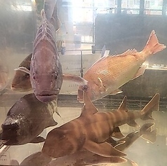 博多豊一 ベイサイドプレイス博多の雰囲気3