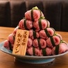 大衆焼肉ホルモン天陽 草津店のおすすめポイント1