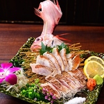 店内入口付近にある生け簀から、その日仕入れた鮮魚を丁寧に調理しご提供。