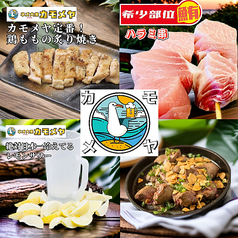 ネオ大衆カモメヤ小山店特集写真1