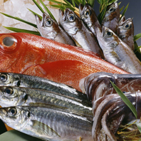 魚屋ならではの目利きで厳選！
