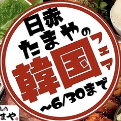 大衆焼肉 日赤通りのたまやのコース写真